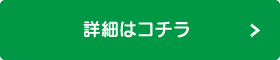 詳細を見る